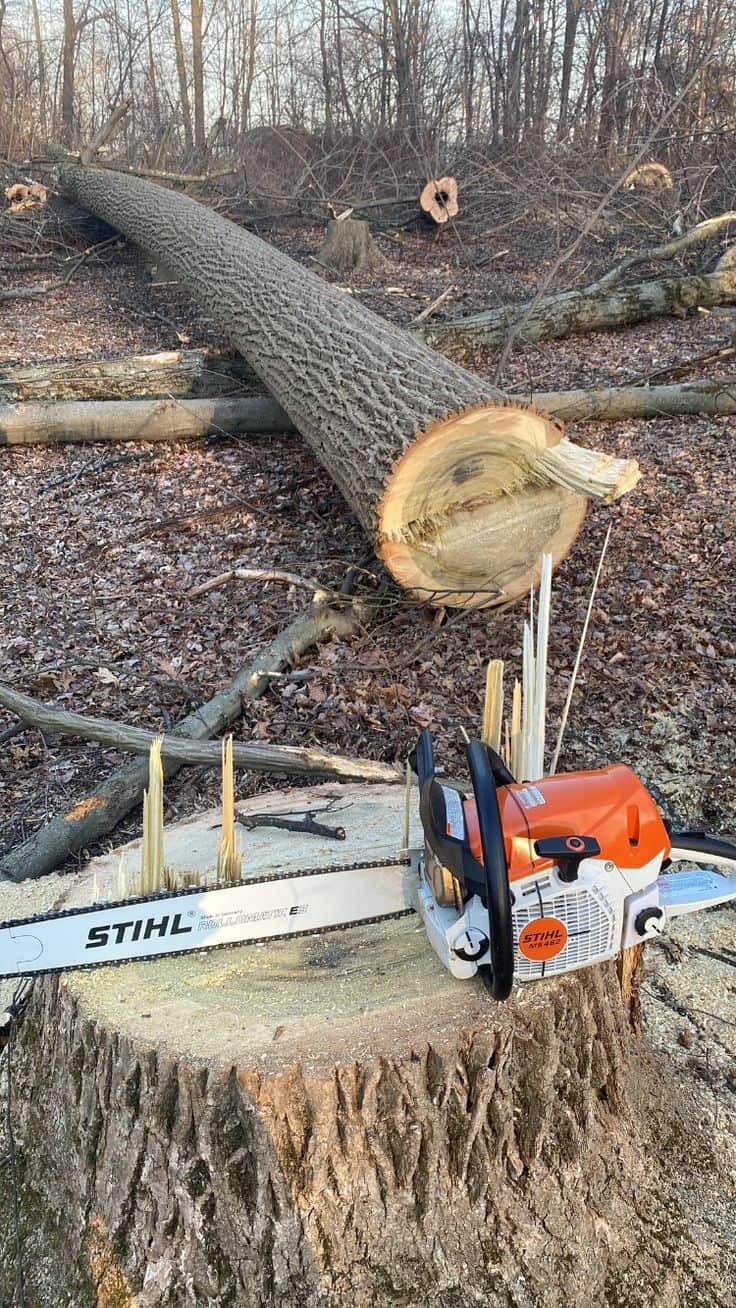 Ponce Tree Services at work
