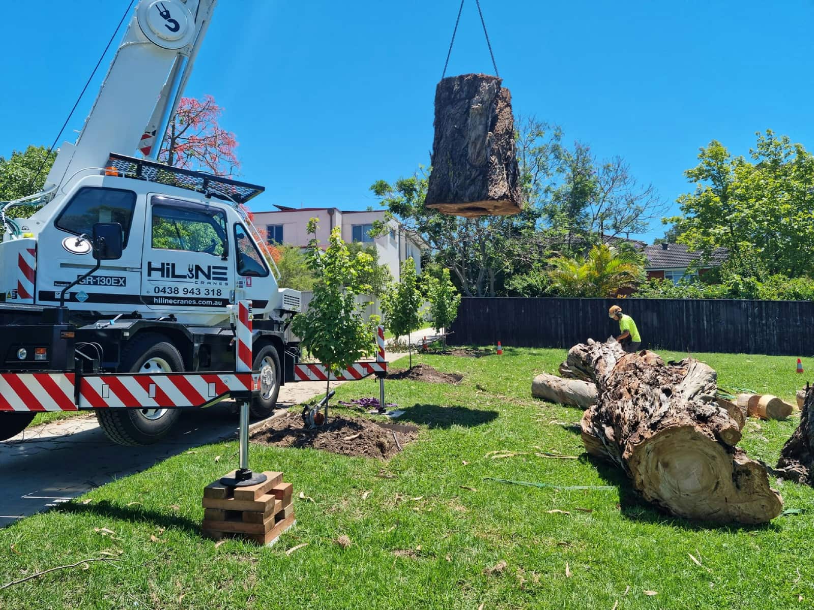Tree care Dallas
